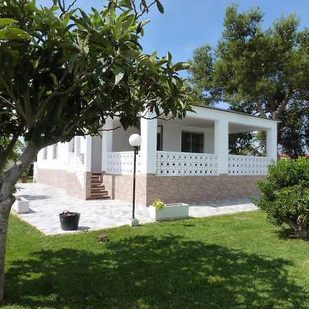 Chalet Verde Tavernes de Valldigna Εξωτερικό φωτογραφία